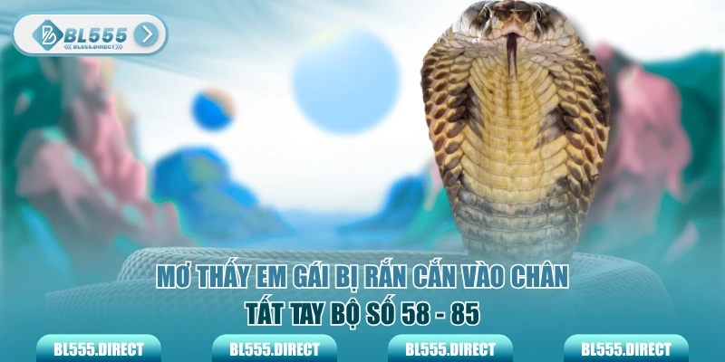 Điềm báo may mắn khi chiêm bao thấy người lạ bị rắn cắn
